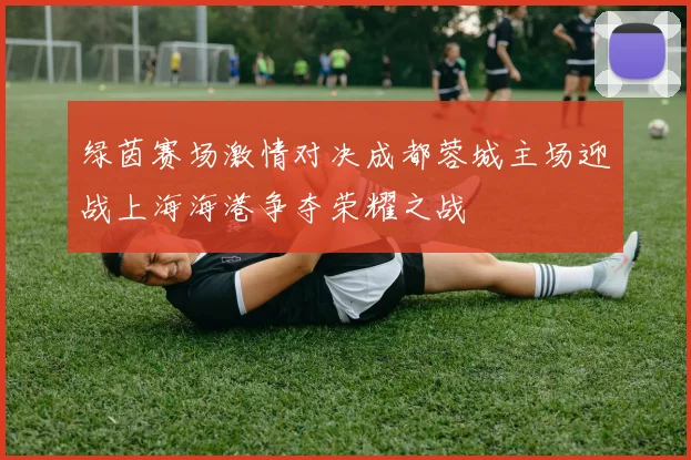 绿茵赛场激情对决成都蓉城主场迎战上海海港争夺荣耀之战
